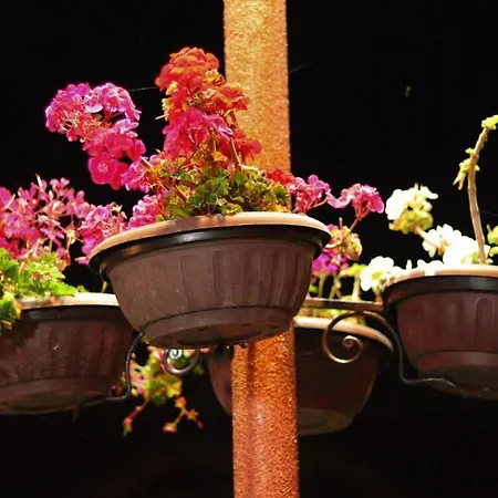 Pirin Place Apartament *