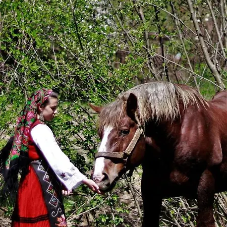 Pirin Place Apartament