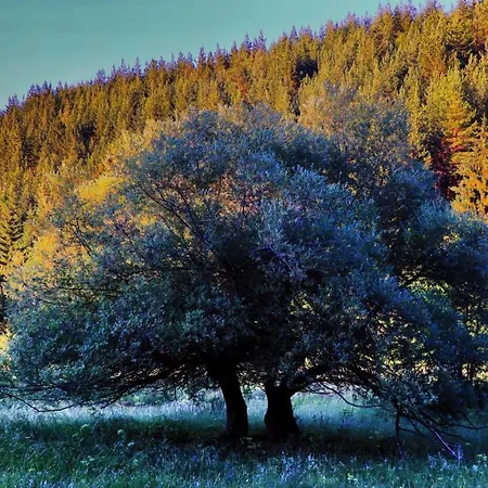 Appartement Pirin Place