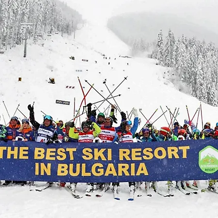شقة Pirin Place *