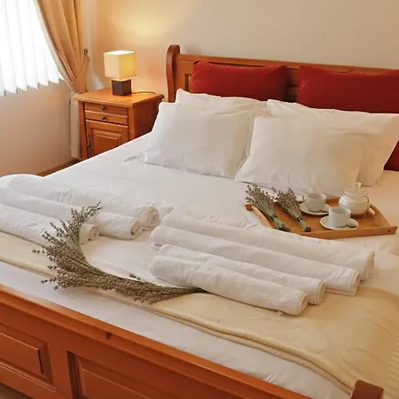 公寓 Pirin Place 班斯科