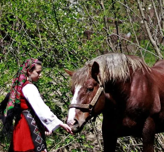 Pirin Place Apartmán