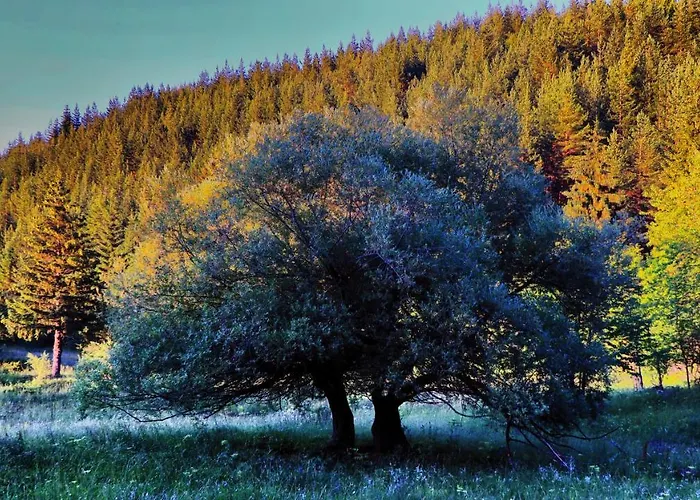 Apartmán Pirin Place